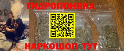 крисы Жуковский