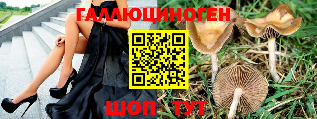 Минеральные Воды  Галлюциногенные грибы GOLDEN TEACHER  цена   Вход с VPN 