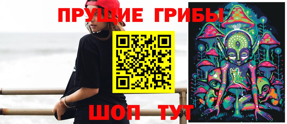 Псилоцибиновые грибы прущие грибы Минеральные Воды